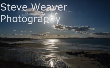 Steve Weaver Photography
